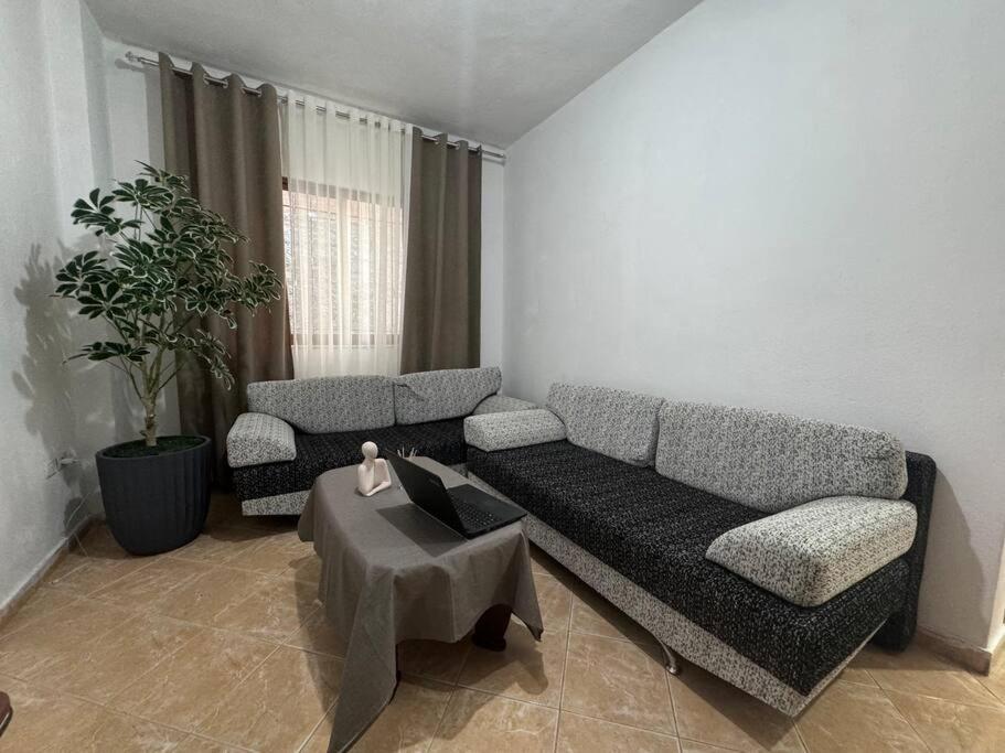 Spacious And Affordable Apartament Tirana